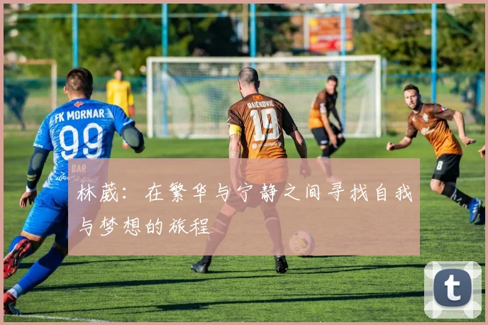 国王与雷霆激战四月十一日争夺季后赛席位的关键对决