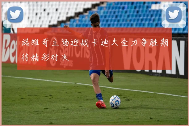 诺维奇主场迎战卡迪夫全力争胜期待精彩对决