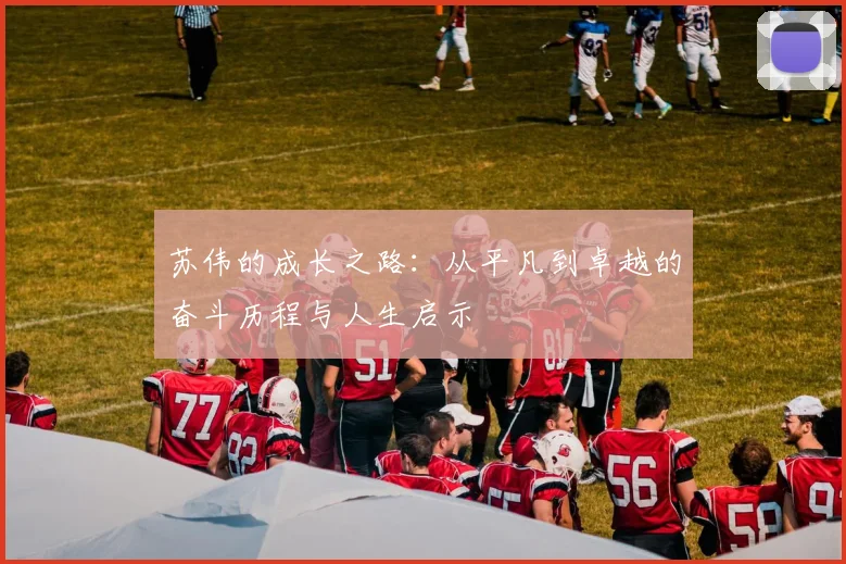 苏伟的成长之路：从平凡到卓越的奋斗历程与人生启示