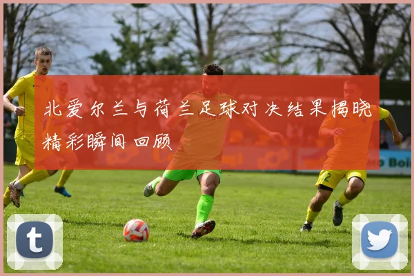 北爱尔兰与荷兰足球对决结果揭晓精彩瞬间回顾