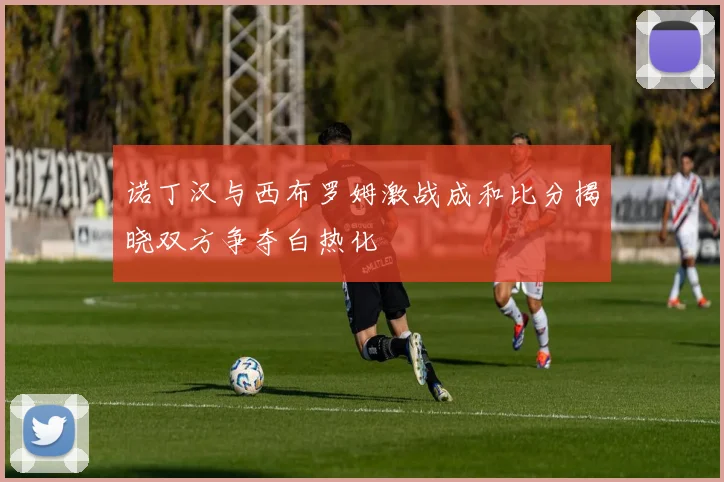 诺丁汉与西布罗姆激战成和比分揭晓双方争夺白热化